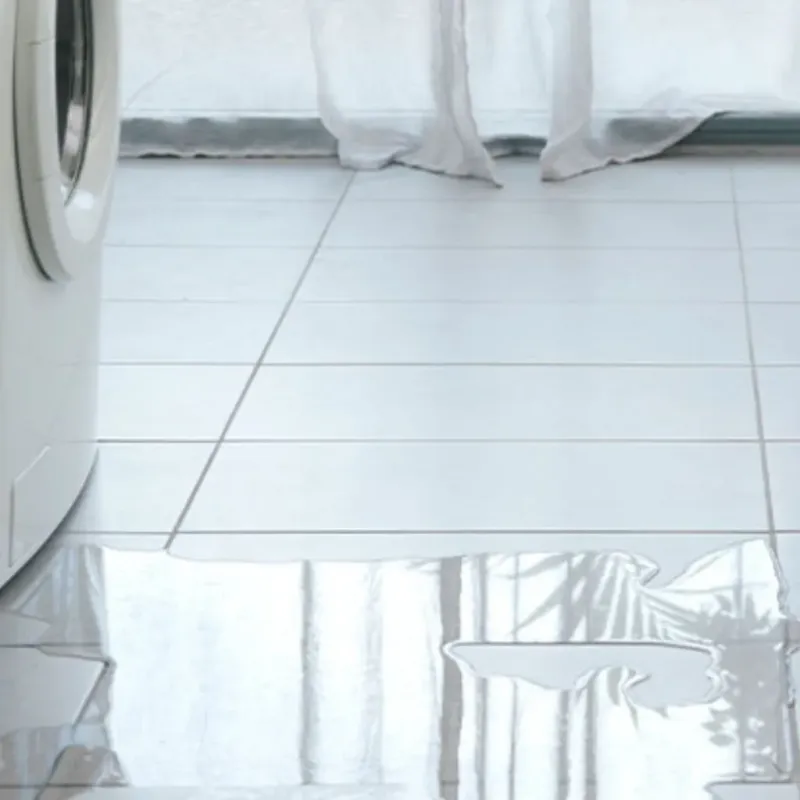 Appliance Leak Cleanup in Stuart, FL